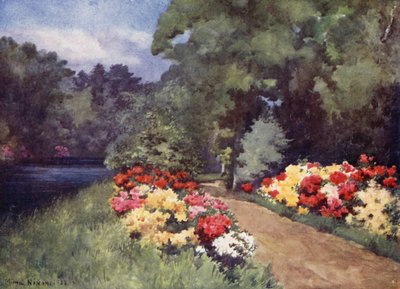 Azálea, Het Loo (színes litó) alkotó: Mima Nixon