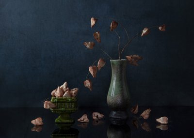Sötét botanikai csendélet alkotó: Ming Chen