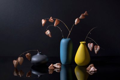 Modern botanikus vázák alkotó: Ming Chen