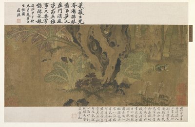 Bambusz, béka és rovarok alkotó: Ming Dynasty Chinese School