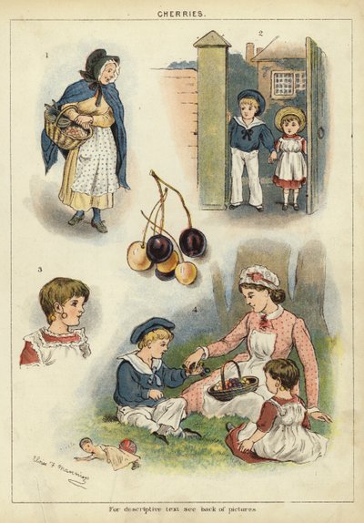 Cseresznye (chromolitho) alkotó: Miss Eliza F. Manning