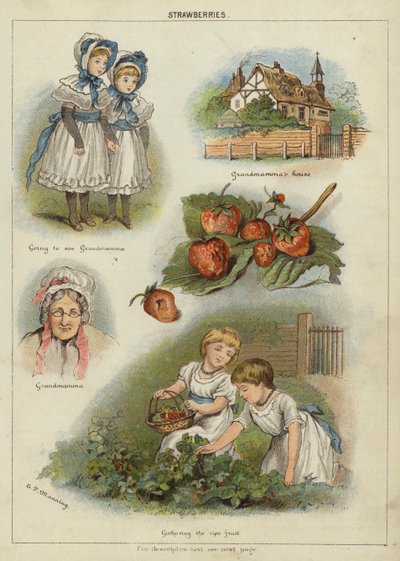 Eper (chromolitho) alkotó: Miss Eliza F. Manning