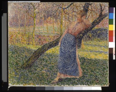 Woman In A Meadow (olaj, vászon) alkotó: Modest Huys