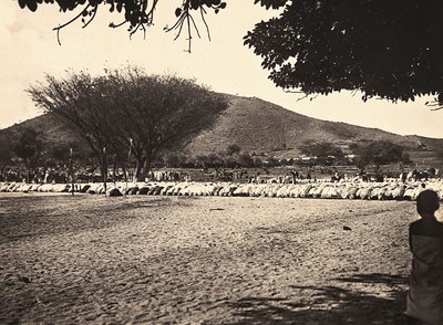 „Birodalom építése” a fasiszta korban: Ramadan ima, 1936.09.05. (f/w fotó) alkotó: Modestino Baldinetti