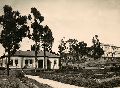 „Birodalom építése” a fasiszta korban: Asmarai tisztviselők köre, 1936.09.05. (f/w fotó) alkotó: Modestino Baldinetti