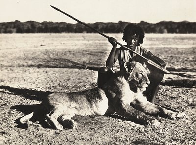 „Birodalom építése” a fasiszta korban: példa egy oroszlánra, 1936.09.05. (f/w fotó) alkotó: Modestino Baldinetti