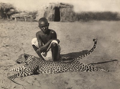 „Birodalom építése” a fasiszta korban: leopárdot bemutató bennszülöttek, 1936.09.05. (f/w fotó) alkotó: Modestino Baldinetti