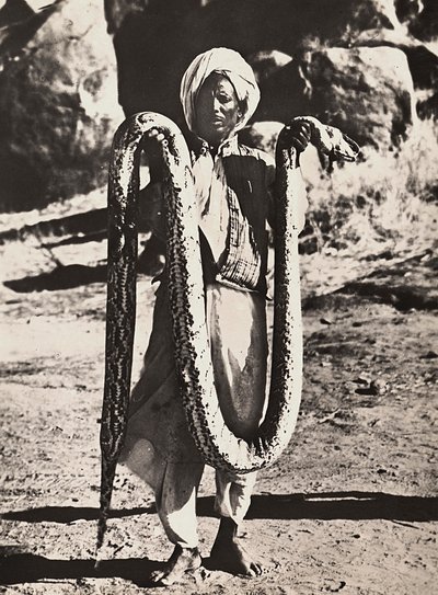 „Birodalom építése” a fasiszta korban: bennszülöttek pitonnal, 1936.05.09. (f/w fotó) alkotó: Modestino Baldinetti