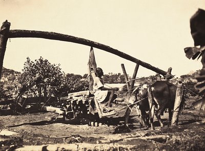 „Birodalom építése” a fasiszta korban: bennszülött Nória, 1936.09.05. (f/w fotó) alkotó: Modestino Baldinetti