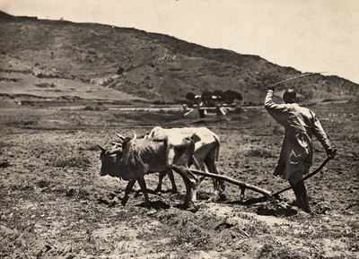 „Birodalom építése” a fasiszta korban: szántás az altopianón, 1936.05.09. (f/w fotó) alkotó: Modestino Baldinetti