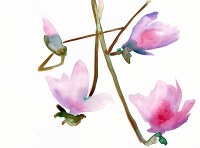 Magnolia 1, 2022 (akvarell, Langton, 300 g/m2, hidegen sajtolt papír) alkotó: Monica Perez Vega