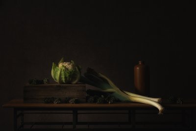 Sötét aratás – csendélet alkotó: Monique van Velzen