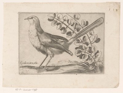 Vogel Codazinzola (cím a tárgyon) Vogels (sorozat címe) alkotó: Monogrammist AG