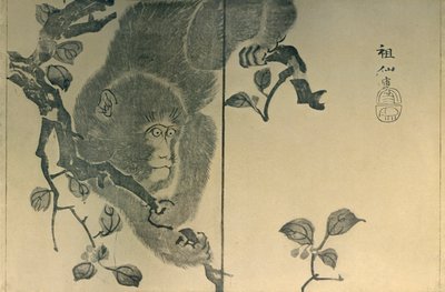 Majom, 1815, 1924. alkotó: Mori Sosen