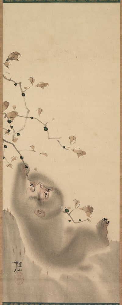 Egy ágon lógó majom, 1780. alkotó: Mori Sosen
