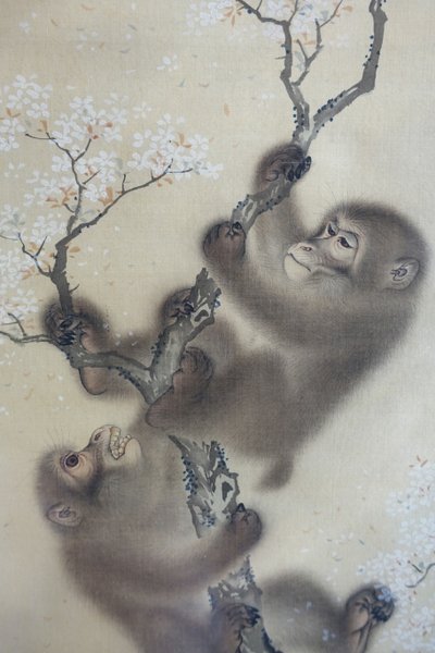 Majmok egy virágzó cseresznyefán, 1 a 2-ből, Mori Sosen, Japán, Edo-korszak, 1800-as évek eleje, tinta és szín, selyem - Arthur M. Sackler Museum, Harvard University - DSC01127 alkotó: Mori Sosen