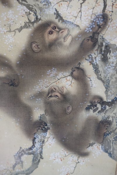 Majmok egy virágzó cseresznyefán, 2 a 2-ből, Mori Sosen, Japán, Edo-korszak, 1800-as évek eleje, tus és szín, selyem - Arthur M. Sackler Museum, Harvard University - DSC01128 alkotó: Mori Sosen