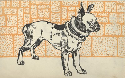 Pitbull terrier, 1912. alkotó: Moritz Jung