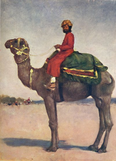 „Egy tevelovas Kotából”, 1903 alkotó: Mortimer L Menpes