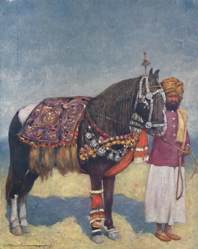 "Egy ló Jodhpurból", 1903 alkotó: Mortimer L Menpes