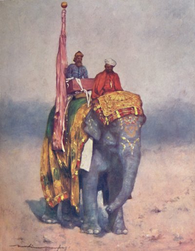 "Egy elefánt Rajputana homokos pusztaságából", 1903 alkotó: Mortimer L Menpes