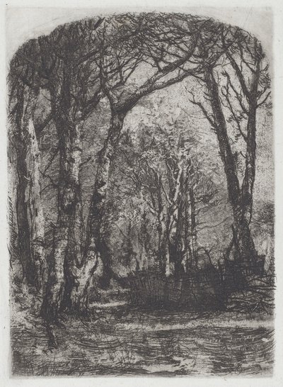 Woods [Bosco] alkotó: Mose Bianchi