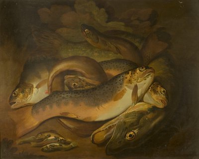 Halak alkotó: Moses Haughton