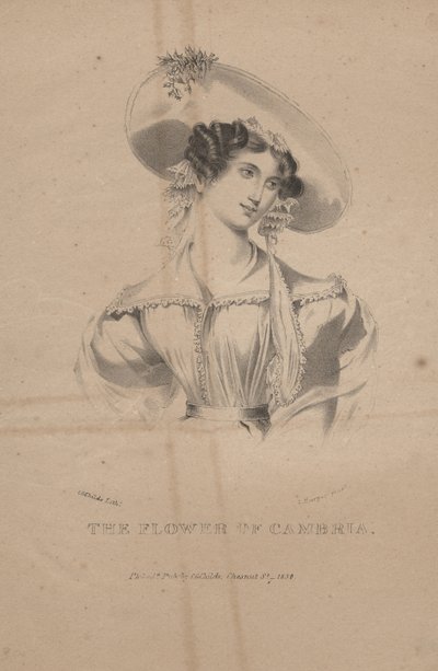 Cambria virága, C.G. Childs litográfiája, 1830 alkotó: Moses Swett
