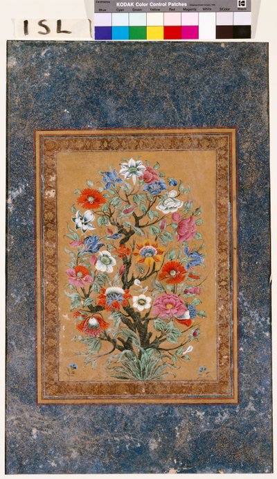 Mitikus növény alkotó: Mughal School