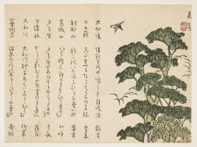 Nagy fa és madarak, 1830-44 körül (színes fatömbnyomat) alkotó: Murata Kagen
