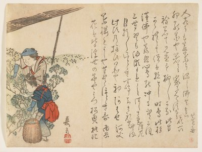 Tea Pickers, 1830-44 körül (színes fatömbnyomat) alkotó: Murata Kagen