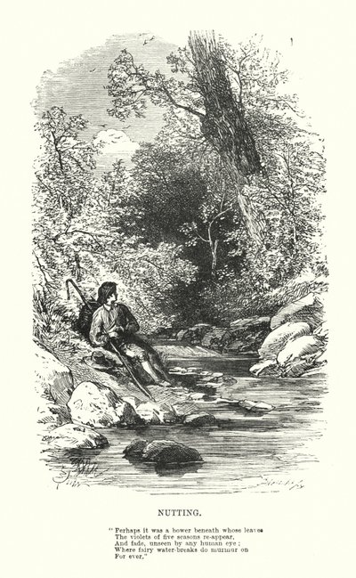 William Wordsworth: Kicsavarás (metszet) alkotó: Myles Birket (after) Foster