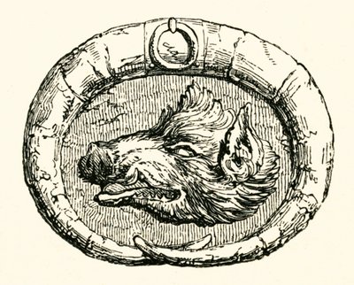 Vaddisznó feje, Carol alkotó: Myles Birket Foster