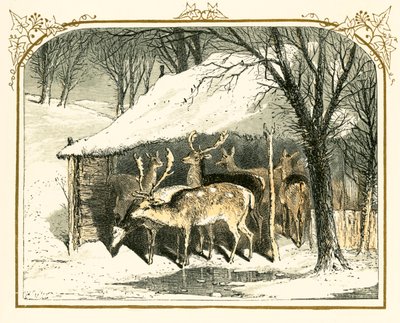 Szarvas a hóban alkotó: Myles Birket Foster