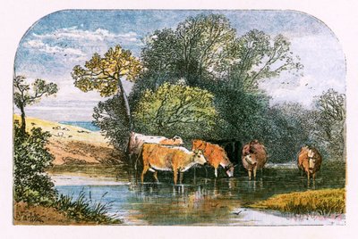 Illusztráció a "The Deserted Village"-hez alkotó: Myles Birket Foster
