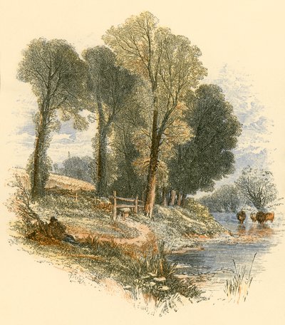 Vasárnapi séták alkotó: Myles Birket Foster