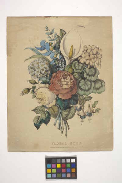 Virágos drágakövek (kézzel színezett litográfia) alkotó: N. and Ives J.M. (1824 95) Currier