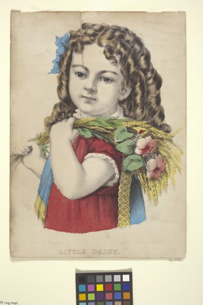 Kleine Daisy von N. and Ives J.M. (1824-95) Currier