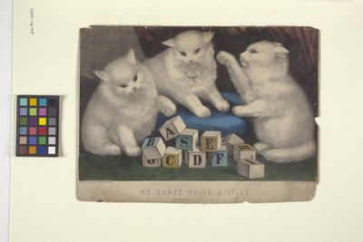 Három fehér cicám (kézzel színezett litográfia) alkotó: N. and Ives J.M. (1824 95) Currier