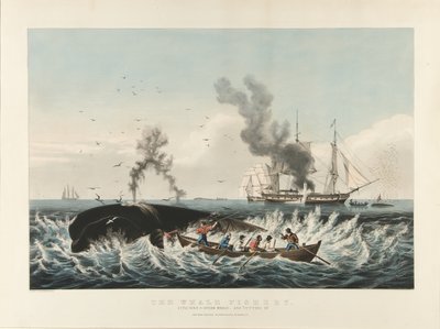 A bálnahalászat: spermás bálna megtámadása... és „bevágás” (színes litográfia) alkotó: Currier and Ives