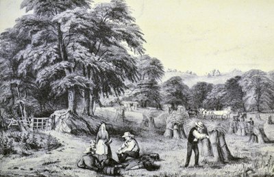 Currier & Ives illusztráció 19. század. Aratás alkotó: N. and Ives, J.M. Currier