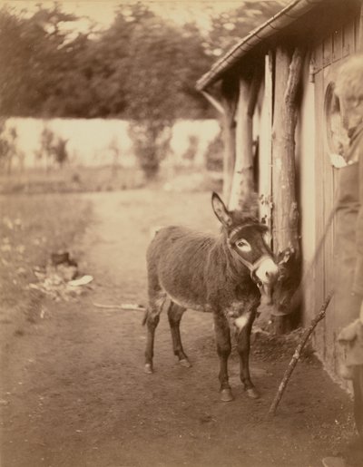 Sénart, a biribi szamár alkotó: Nadar [Gaspard Félix Tournachon]