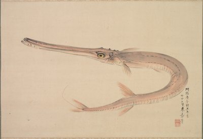 Tűhal (mindig) alkotó: Nakajima Raishō
