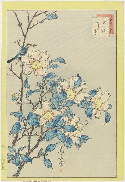 Kék madár és rózsaszín virágok, 1859 (színes fatömb nyomat) alkotó: Nakayama Sugakudo