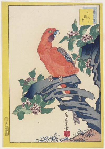 Pink Parrot on Rock, 1859 (színes fatömb nyomat) alkotó: Nakayama Sugakudo
