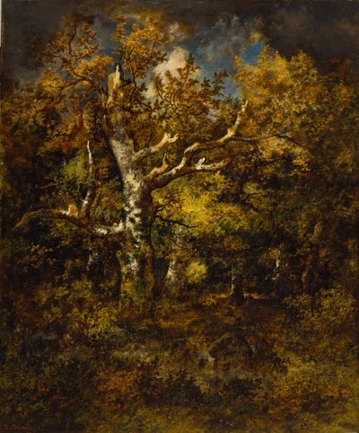 Fontainebleau-i erdő, ősz alkotó: Narcisse Virgile Diaz de la Peña