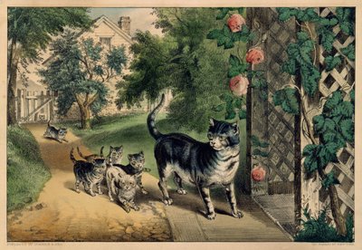 Pussy visszatérése, 1874-78., 1874-78. Alkotók: Nathaniel Currier, James Merritt Ives, Currier és Ives. alkotó: Currier and Ives