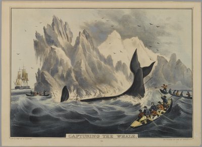 A bálna elfogása (kézzel színezett litho) alkotó: Nathaniel Currier