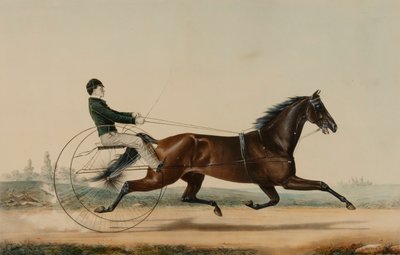 Mac alkotó: Nathaniel Currier
