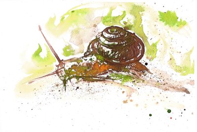 Csiga, 2025 (tinta) alkotó: Neale Osborne